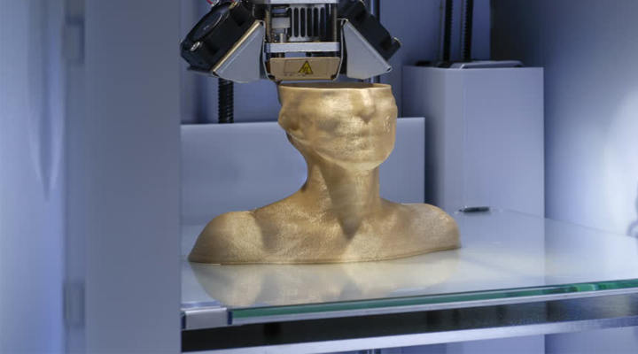 What are the 3D Printed Human Models